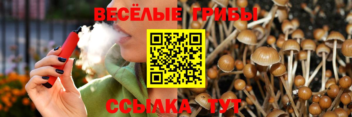 Псилоцибиновые грибы мухоморы  Вход с VPN  Кропоткин 